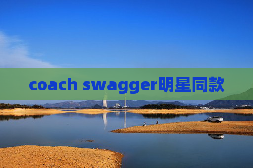 coach swagger明星同款